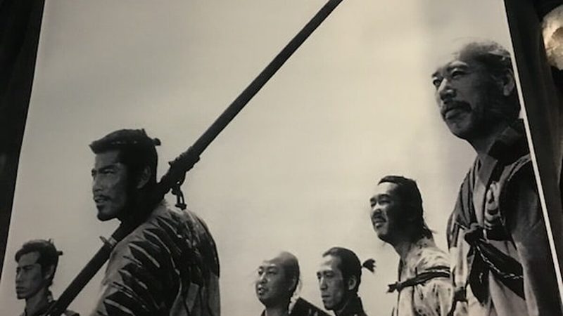市政绿化苗木公司排名背后的考量因素**