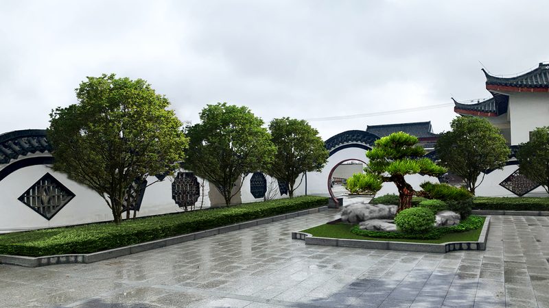广州绿植租赁行业：揭秘十大品牌背后的秘密**