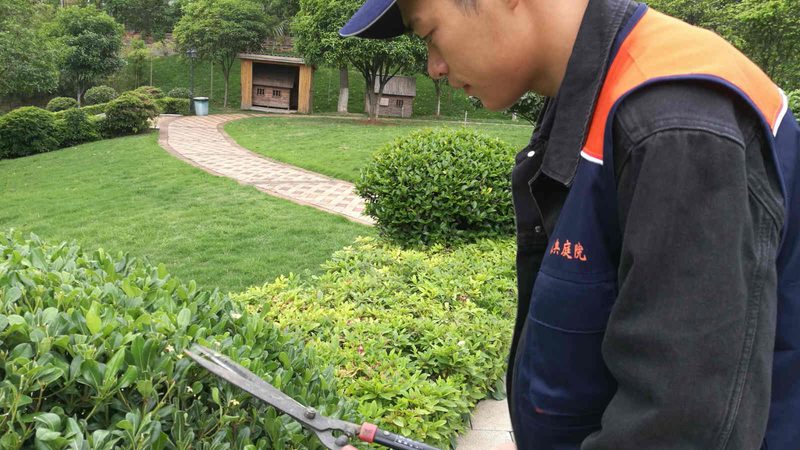 成都现代中式庭院设计公司排名