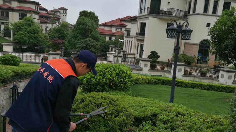 苗木病虫害防治：传统方法与新型技术的对比解析**