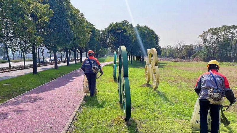 学校绿化养护哪家便宜