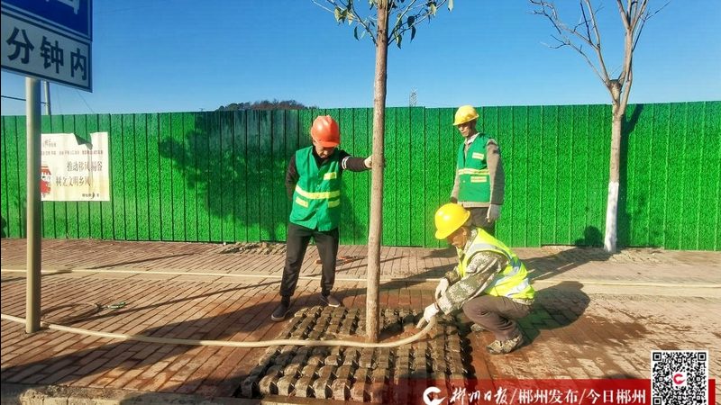 私人别墅花园设计报价：揭秘合理预算的关键要素**