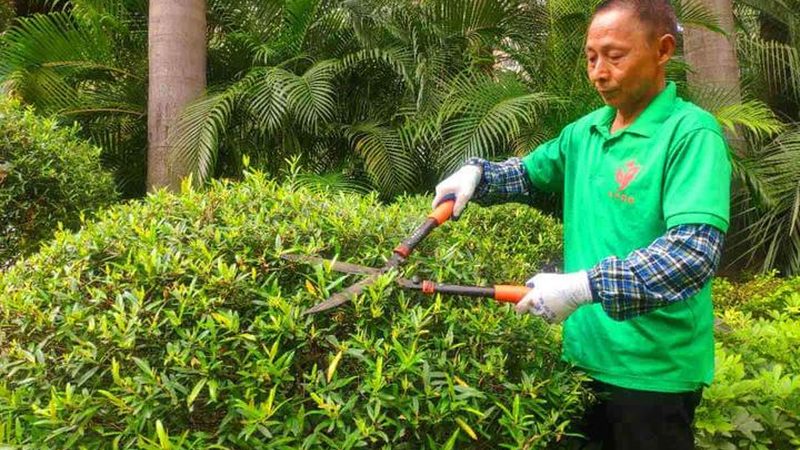 揭秘绿化工程监理资质等级：关键因素与选择要点