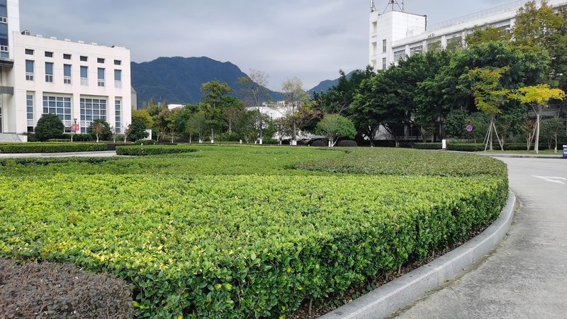 私人花园，草坪与硬化比例的黄金分割**